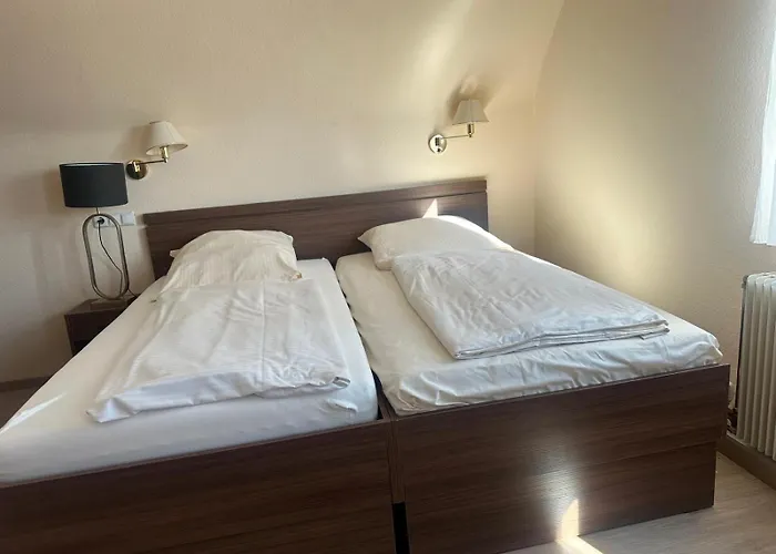 Neue Traube Отель