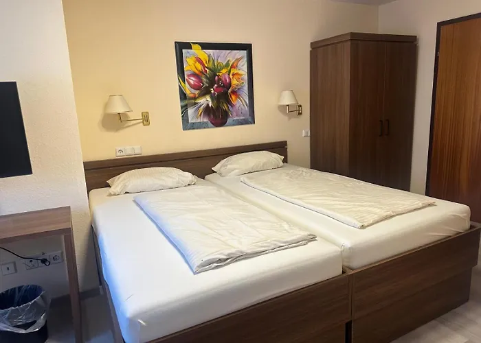 Neue Traube Отель 3*