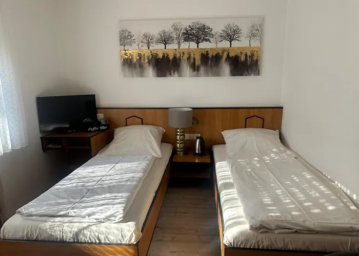 Отель Neue Traube 3*